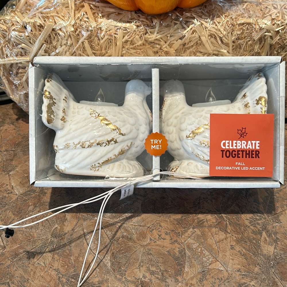 Celebrate Together Fall Turkey LED lit decorative accent pieces